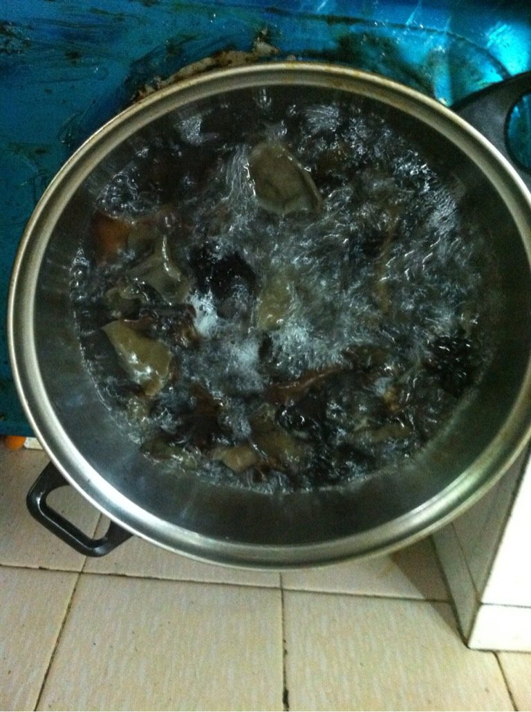 猪排饭,如图木耳用水泡发洗净，锅内水开后煮4分钟左右