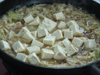 五花肉炖白菜,放入切成小块的豆腐继续炖煮约十分钟，这里的豆腐最好用老豆腐，不容易碎，比较耐炖煮。