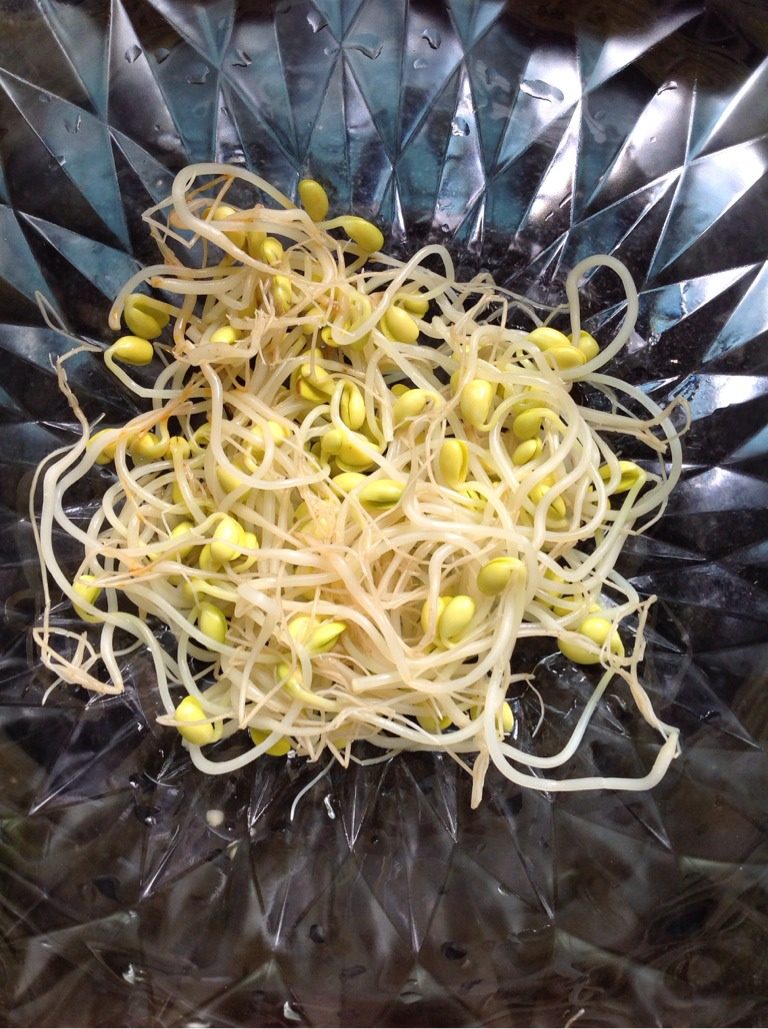 麻辣藤椒鱼,将焯熟的豆芽铺在盆底，备用