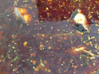 麻辣藤椒鱼,将麻辣鱼油料加热至冒烟，浇在干料上即可（PS：如果油不够，可以将适量的食用油烧热，炝香）