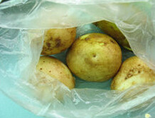 香炸小薯团,土豆洗净放保鲜袋用微波炉高火8分钟左右，微熟