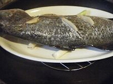 姜葱蒸鱼,将鱼去除内脏，清洗干净，在两面的鱼背上划两刀，用盐，胡椒粉和料酒腌5分钟