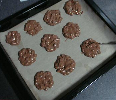 巧克力坚果蛋白脆饼,整理成片状，排在烤布上，烤箱预热150度，20分钟