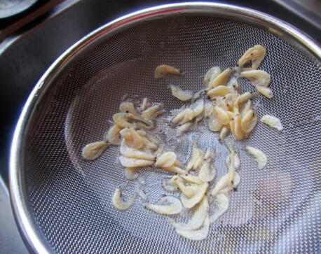 蛋蒸土豆丝肉饼,虾皮温水冲洗干净，沥干水分。3个鸡蛋打散，加入少量盐和虾皮搅均匀