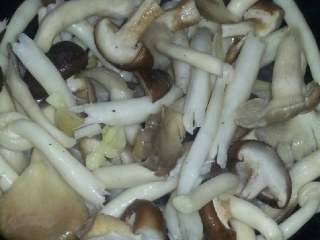 杂菇煲,加蘑菇、、平菇、长菇翻炒会