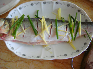清蒸白水鱼,加入鱼，鱼身上也铺上姜丝和葱