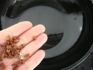 清蒸白水鱼,重起油锅，油温5分热加入适量花椒熬出香味去掉花椒渣