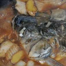 麻辣鱼头,锅中放入葱姜炒香，加入料汁放入鱼头大火烧开，小火炖15分钟