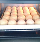 椰蓉蜜豆小餐包,放在烤盘里。烤箱里最底层放盘热水，进行最后发酵