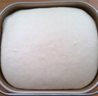 椰蓉蜜豆小餐包,加入色拉油揉至面团可以拉出薄膜扩展状态，进行基础发酵2.5倍大