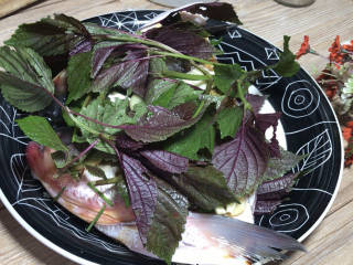 紫苏蒸鱼头,再盖一层紫苏和葱姜蒜