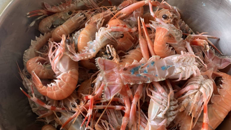 酱烧海龙虾,籽是蓝绿色，日料里常有鳌虾，国产，新西兰，挪威，虾钳区别大点。国产就比较细。红，粉红间断。