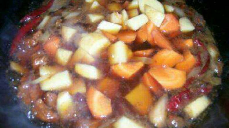 土豆烧牛肉,再加入水，没过材料。慢慢烧。牛肉烧5分熟后放入土豆和胡萝卜块，继续烧。