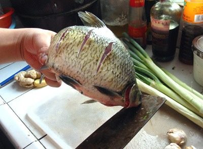 红烧鳊鱼,因为鱼小,所以没必要做十字花,斜片3刀就可以了——注意是斜向切入肉,不是直切!