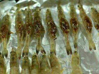 蒜蓉烤虾,用勺子将调好的蒜蓉淋在虾背上。