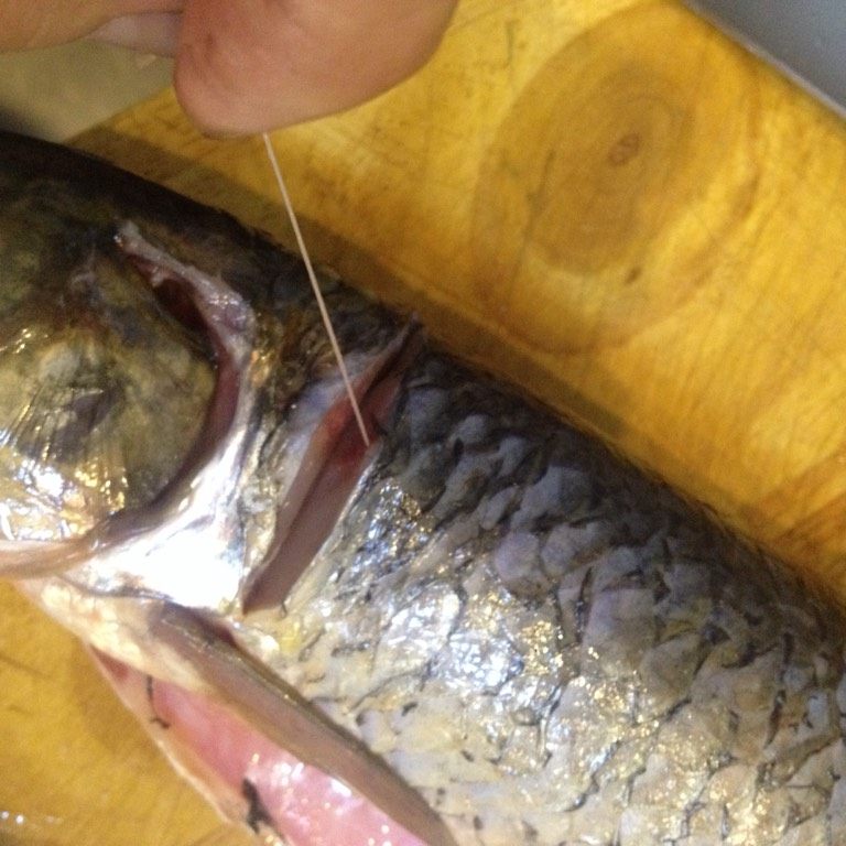 麻辣鱼片,如图从头部鳃后切口抽出鱼腥线