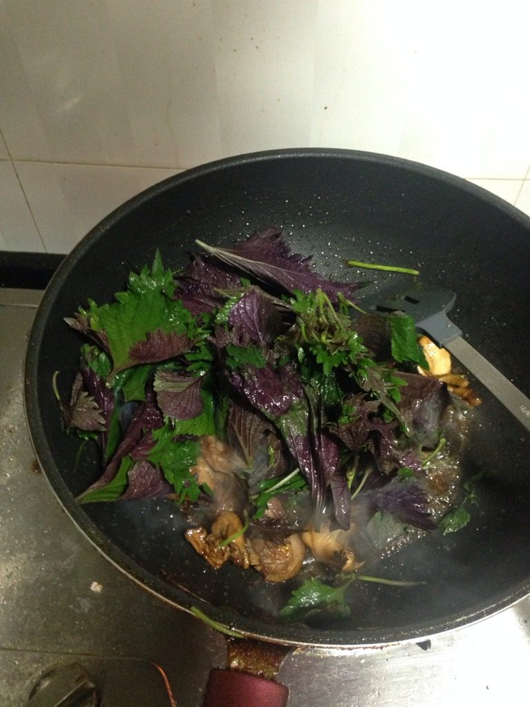 紫苏炒鸡,如图收汁后放入紫苏叶。炒到干水。