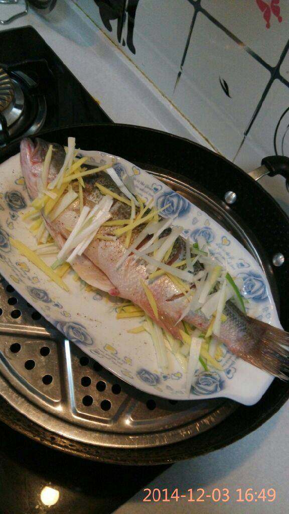 清蒸鲈鱼,将盘中均匀的铺满葱姜丝，放入腌好的鲈鱼，在鲈鱼表面也铺上葱姜丝