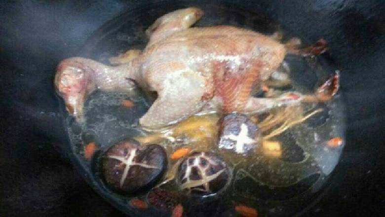 鸽子汤,放入香菇和水煲开，放点盐胡椒粉