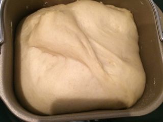 毛毛虫面包,如图启动发酵程序，时间大约1小时左右（根据实际情况增减），面团发酵至2.5倍大；