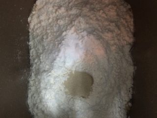椰丝面包,将热好的牛奶 面粉 剩余的糖 酵母 黄油一同放入面包机搅拌