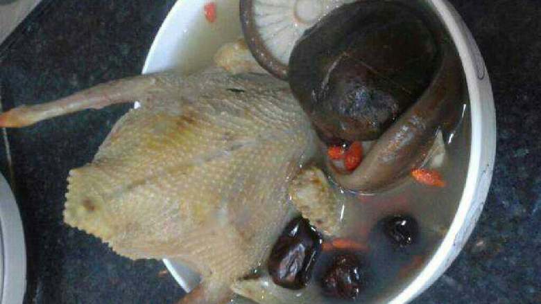 香菇鸽子汤,出锅了，