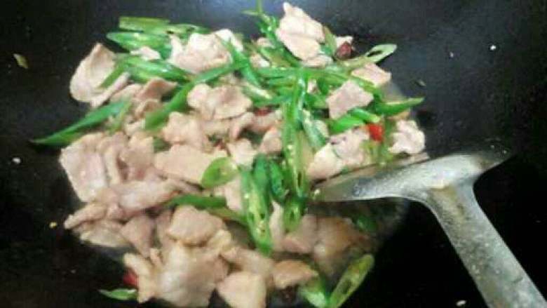 自制【青椒炒肉】,在把炒过的肉倒进去一起翻炒片刻，在加适量盐调味撒上葱花即可。