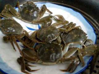 清蒸螃蟹,把螃蟹放进盘子里倒适量料酒开始上锅蒸20分钟。