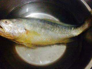 自制美味【红烧黄鱼】,准备好的黄鱼杀好清除内胀洗干净。