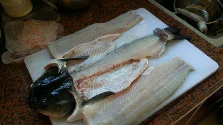 水煮活魚,先將草魚去頭去尾，把帶刺部分魚骨還有肉多部分分離，如圖
