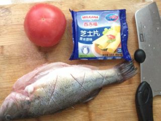 芝士焗茄汁鱼,鲈鱼去鳞洗净 两面划上几刀 均匀地涂抹上盐及橄榄油 腌制半小时