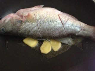 芝士焗茄汁鱼,锅内放油 下几片姜下鱼煎至两面金黄捞出备用