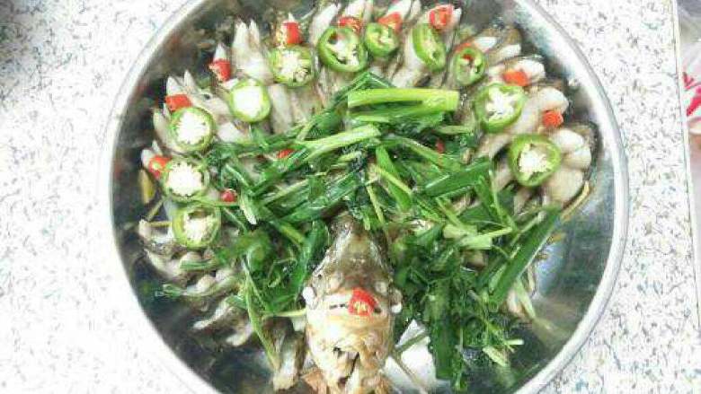 清蒸孔雀鱼,香菜和葱炒熟放上面。