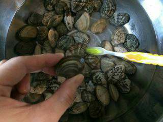 爆炒花蛤,  用牙刷或小刷子洗净花蛤表面。