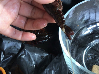 干煸小龙虾,在小龙虾的尾部中间捏紧，抽出虾肠