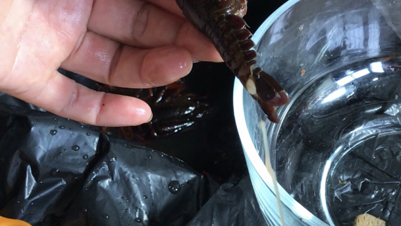 干煸小龙虾,在小龙虾的尾部中间捏紧，抽出虾肠