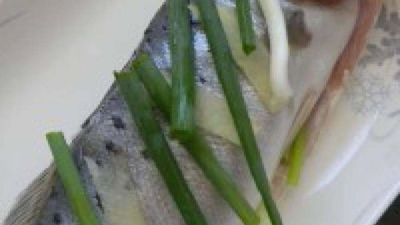 清蒸鲈鱼,腌制好的鲈鱼肚子内塞入姜丝，鱼身摆上葱段