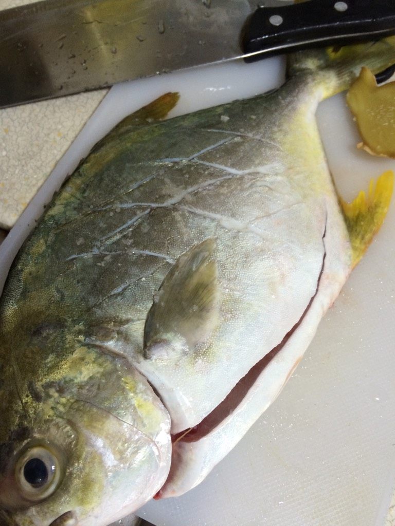清蒸鲳鱼,如图鲳鱼洗净，背上划花刀，用盐均匀抹上鱼的两年，腌制10分钟
