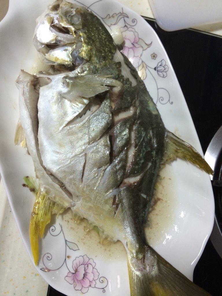 清蒸鲳鱼,如图蒸熟后，捡去鱼背上的葱段跟姜丝