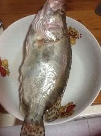 清蒸鲑鱼,准备好鲑鱼，洗净
将生姜、大葱和红辣椒切好，放入盘中