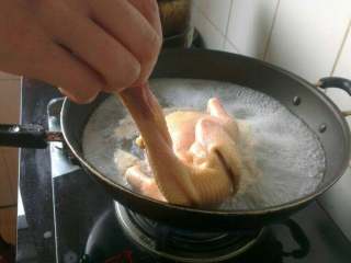 自制(白切鸡),煮锅放到火上加清水大火烧开，提起鸡头将鸡身放入水中浸烫，3秒钟提起，反复三次；