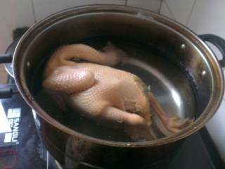 自制(白切鸡),将鸡放入煮过鸡的锅中盖盖儿煮15分钟，提起鸡头翻面盖盖再煮15分钟；