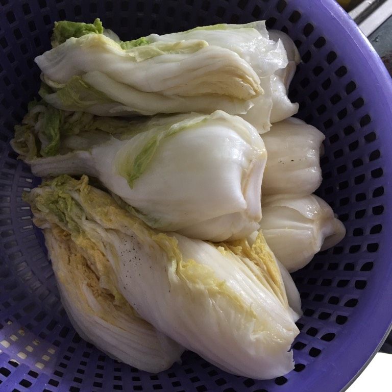 朝鲜辣白菜,如图两天后把水分挤出来备用