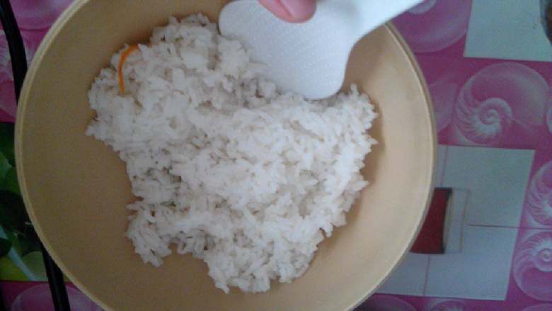 食寿司卷 剩米饭的华丽转身 食寿司卷 剩米饭的华丽转身做法 功效 食材 网上厨房