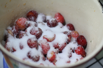 大果粒樱桃果酱,去核的樱桃放细砂糖腌制1个小时以上，腌到樱桃出水