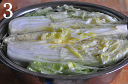 自制辣白菜,将抹盐的白菜放进大盆中，加入淡盐水没过白菜，腌泡大半天或过夜