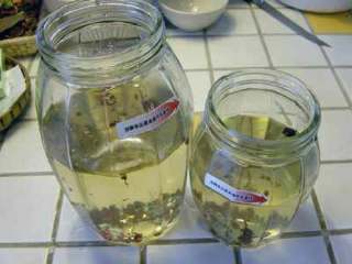 四川泡菜, 将冷却的盐水倒入泡菜坛子或密封罐中，水的量应该在泡菜坛子的2/3处。