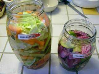 四川泡菜,加入洗净晾干以后的新鲜蔬菜，将其浸没在盐水中。