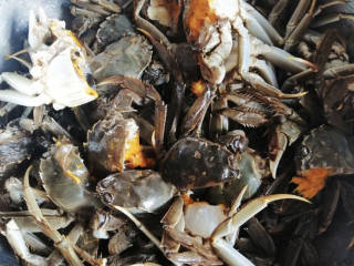 家常炒螃蟹,螃蟹比较小的话直接对半切开就好，最好是把壳打开，去掉特别脏的地方。