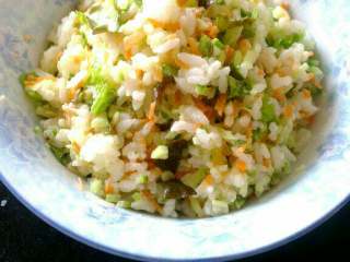 蔬菜沙拉拌饭,将煮熟的米饭盛入碗中，放所有菜碎和适量沙拉酱拌匀即可食用^O^